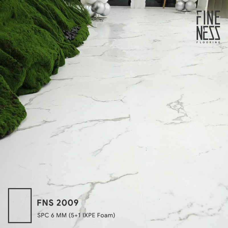 FNS 2009 - 6 MM Thickness